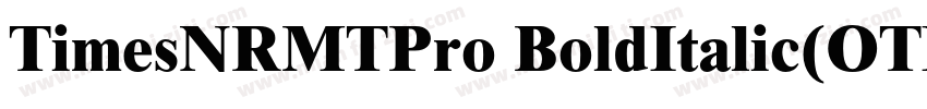 TimesNRMTPro BoldItalic(OTF)字体转换
